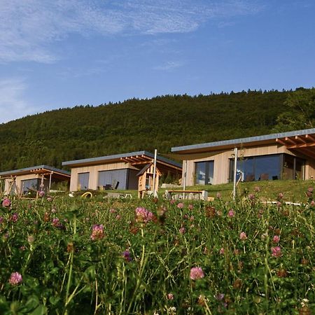 An Webers Stoag Geisingen Exterior foto